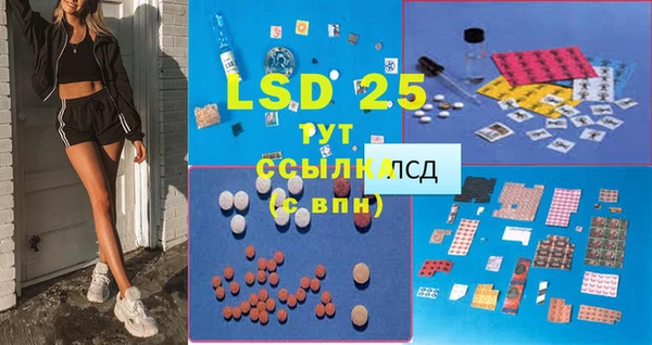 эйфоретик Липки